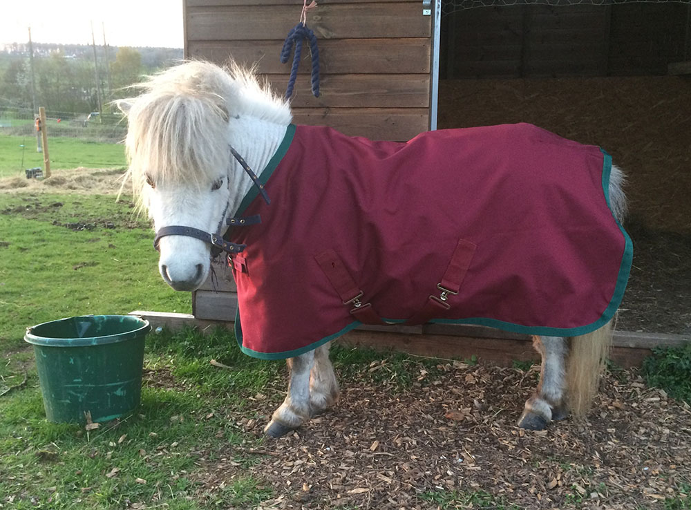 Dapper Dobbins Equine Rug Washing and Repairs